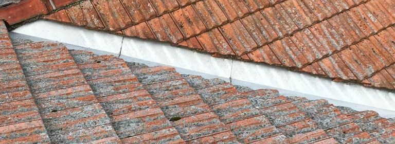 Ukázka realizace - Čištění střechy v Bílanech